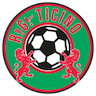 team-logo