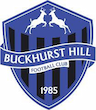 team-logo