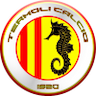 team-logo
