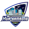 team-logo
