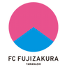 team-logo