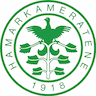 team-logo