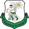 team-logo