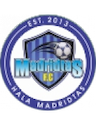 team-logo