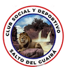 team-logo