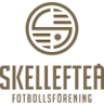 team-logo