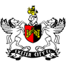 team-logo