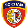 team-logo
