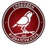 team-logo
