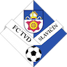 team-logo
