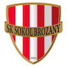 team-logo