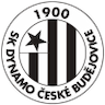 team-logo