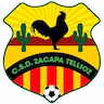team-logo