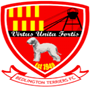 team-logo