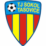 team-logo