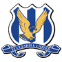 team-logo