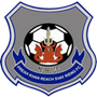 team-logo