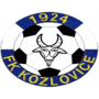 team-logo