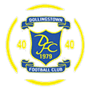 team-logo