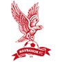 team-logo