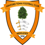 team-logo