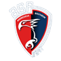 team-logo
