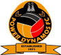 team-logo