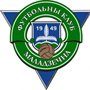 team-logo