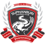 team-logo