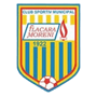 team-logo