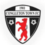 team-logo