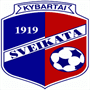 team-logo