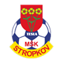 team-logo