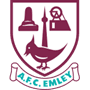 team-logo