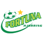 team-logo