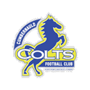 team-logo
