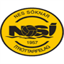team-logo