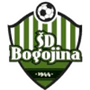 team-logo