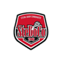 team-logo