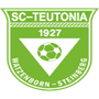 team-logo
