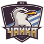 team-logo
