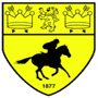 team-logo