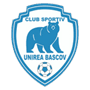 team-logo