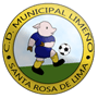 team-logo