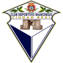 team-logo