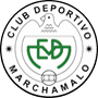 team-logo