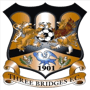 team-logo