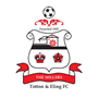team-logo