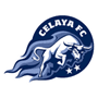 team-logo