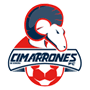 team-logo